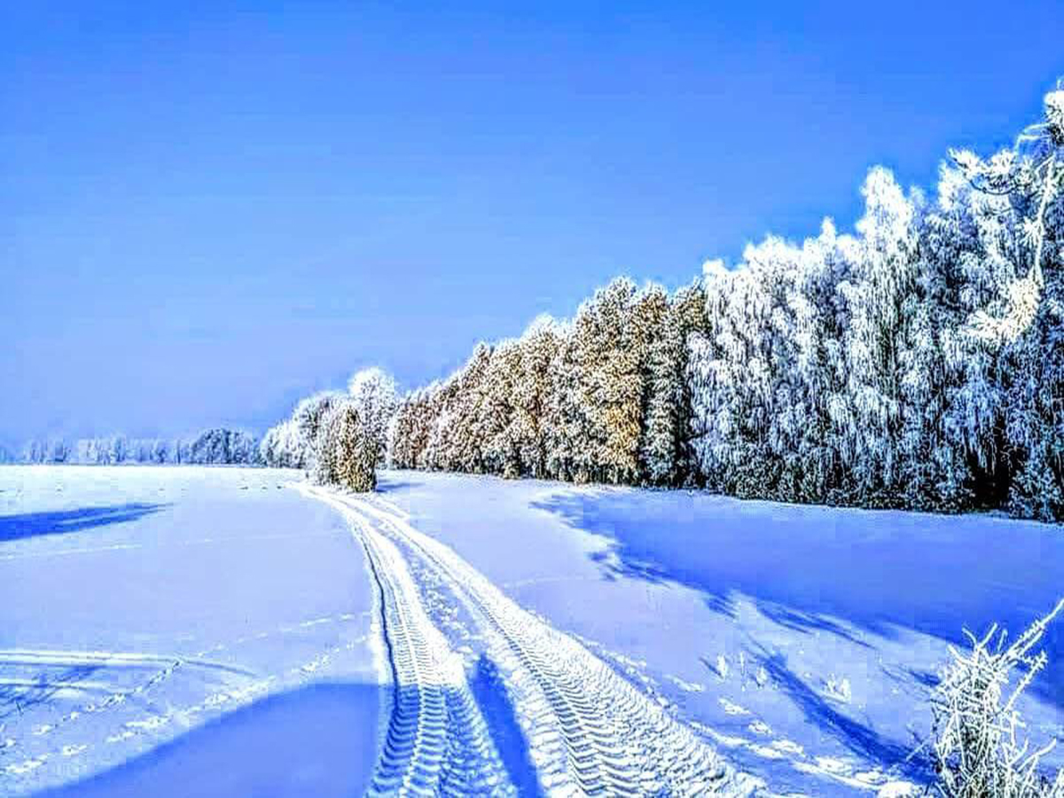 Nasze tereny